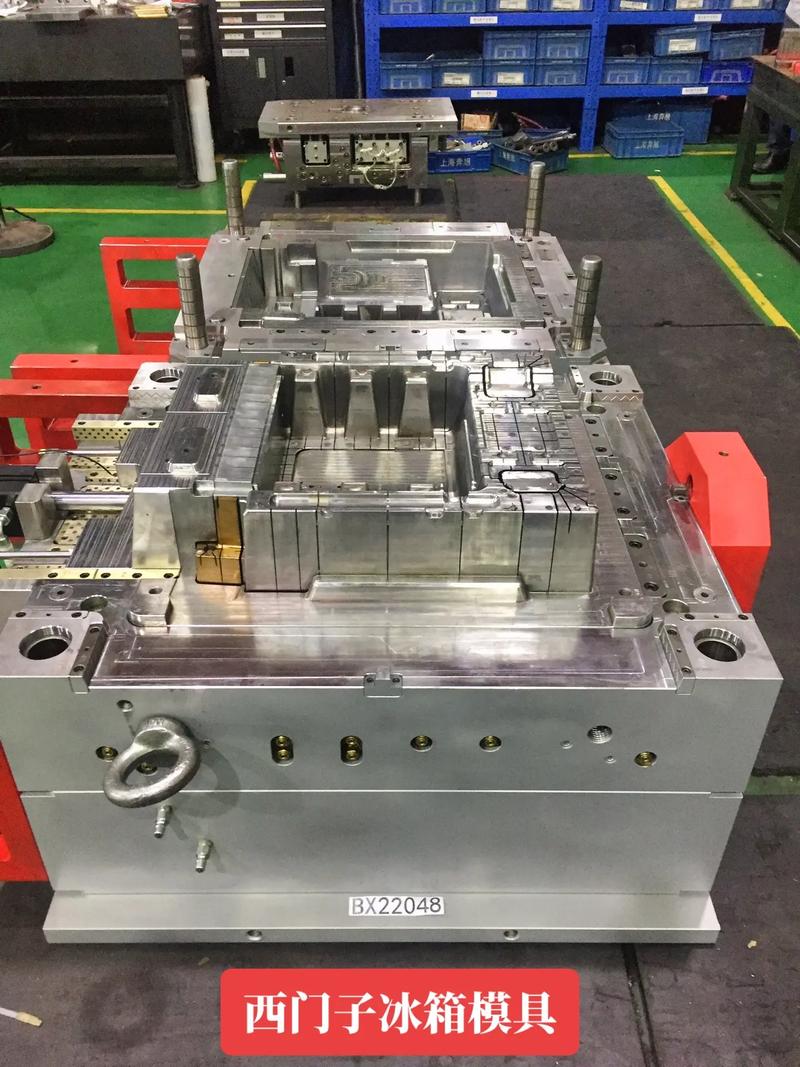 西門子冰箱模具#模具制造 #精密模具 #注塑成型 #讓技術(shù)更